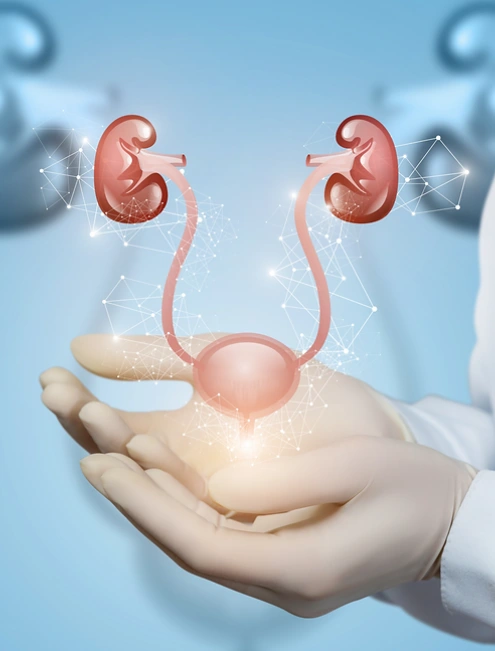 costo-de-procedimiento-de-urologia-en-cdmx.webp