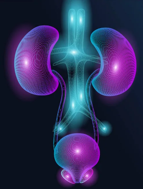 urologo-cerca-de-mi-ubicacion-en-cdmx.webp