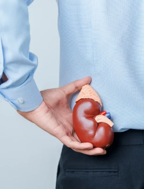 urologo-con-servicio-en-universidad-en-cdmx.webp