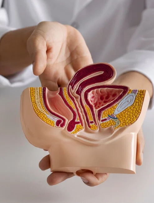 urologo-para-tratamiento-de-prostatitis-en-cdmx.webp